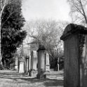 alterFriedhof036.jpg