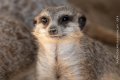 zoo_fr_2018_006