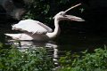 zoo_fr_2018_016