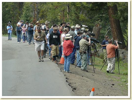 usa-pic21